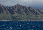 WhaleWatching 011